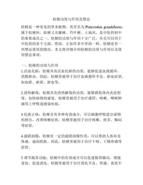 桔梗功效与作用及禁忌