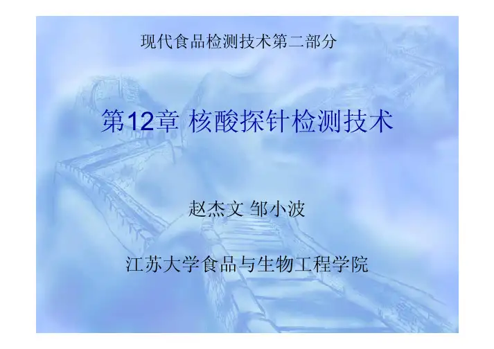 第十二章 核酸探针检测技术
