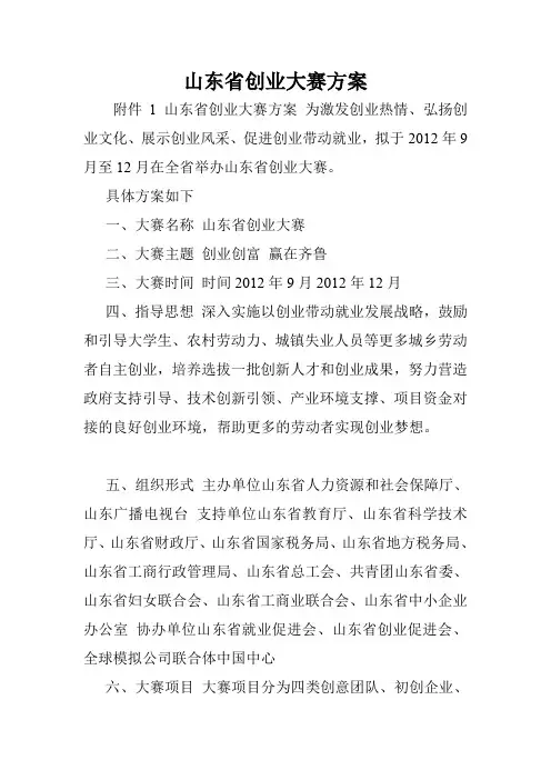 山东省创业大赛方案.doc