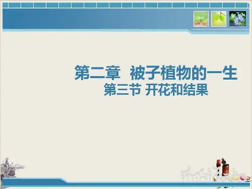 人教版初中生物七上3. 开花和结果 ppt下载 (共34页ppt)