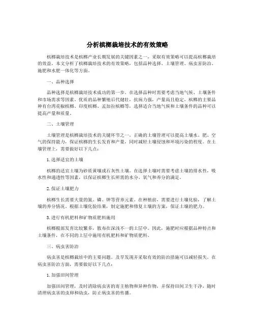 分析槟榔栽培技术的有效策略