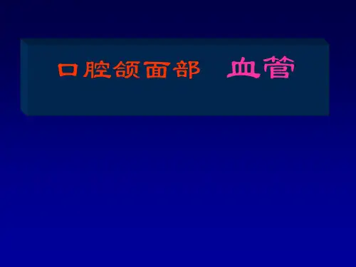 口腔局部解剖学课件：口腔颌面部   血管