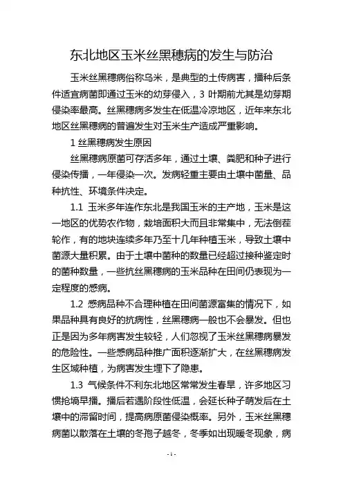 东北地区玉米丝黑穗病的发生与防治