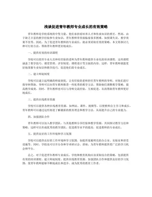 浅谈促进青年教师专业成长的有效策略