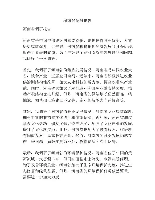 河南省调研报告