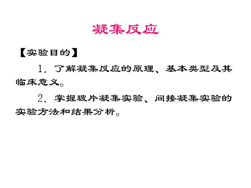 凝集反应