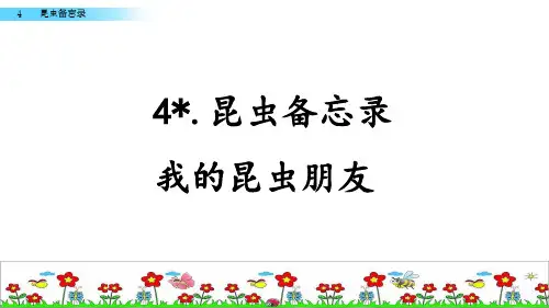 三年级下册语文课件-《4昆虫备忘录》人教部编版 (共12张PPT)