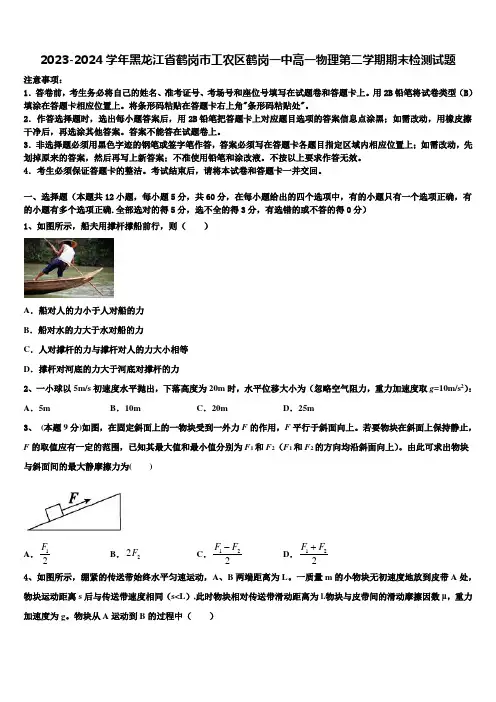 2023-2024学年黑龙江省鹤岗市工农区鹤岗一中高一物理第二学期期末检测试题含解析