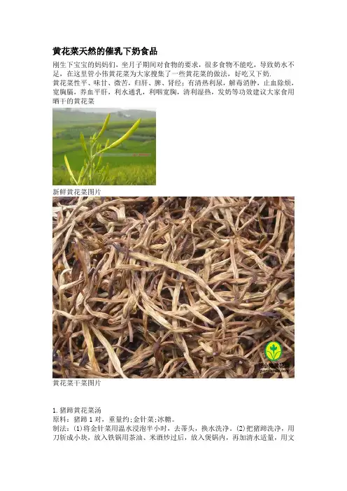 黄花菜天然的催乳下奶食品