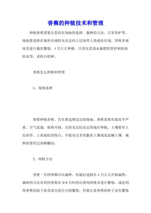 香蕉的种植技术和管理