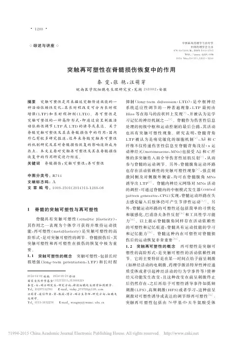 突触再可塑性____秦雯