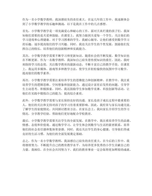 小学数学教师工作感想