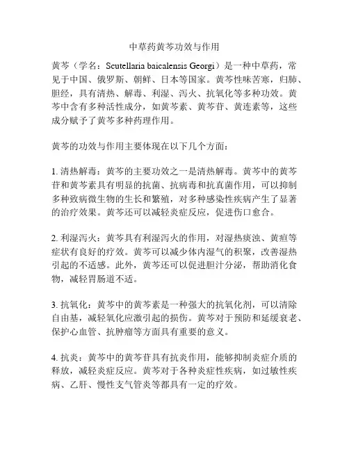 中草药黄芩功效与作用
