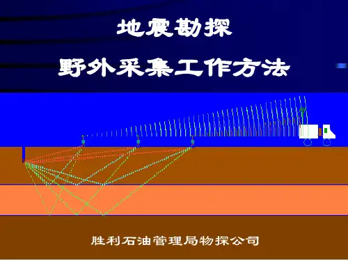地震勘探理论基本知识课件(最终)