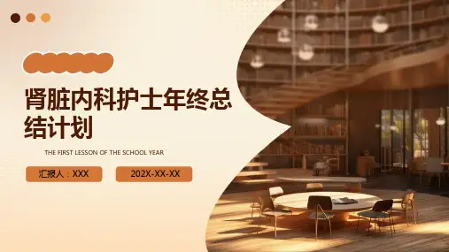 肾脏内科护士年终总结计划PPT课件