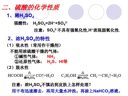 高一化学硫酸