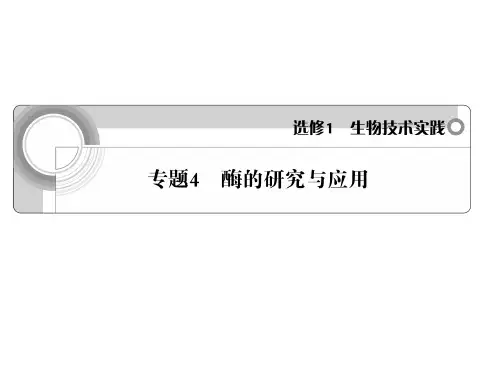 学案与测评课件生物人教版选修1专题4 酶的研究与应用