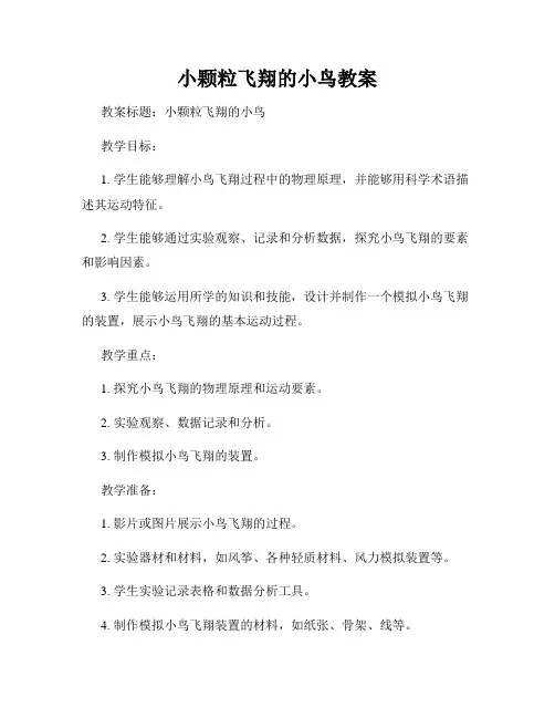 小颗粒飞翔的小鸟教案