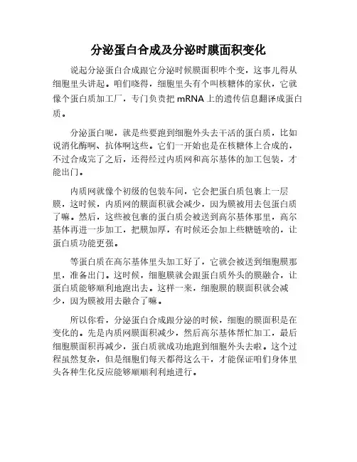 分泌蛋白合成及分泌过程中膜面积的变化