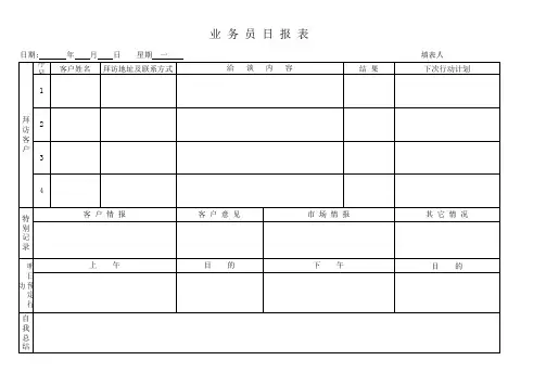 业务员日报表