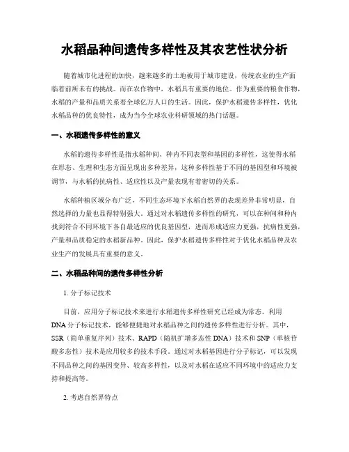水稻品种间遗传多样性及其农艺性状分析