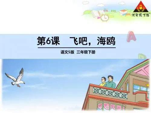 6 飞吧,海鸥