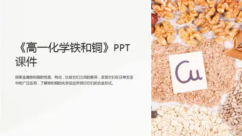 《高一化学铁和铜》课件