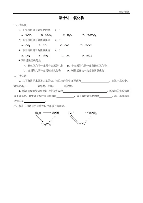 12初高中衔接作业--第十讲  氧化物的分类及性质