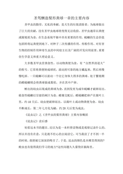 圣驾酬翁梨形粪球一章的主要内容