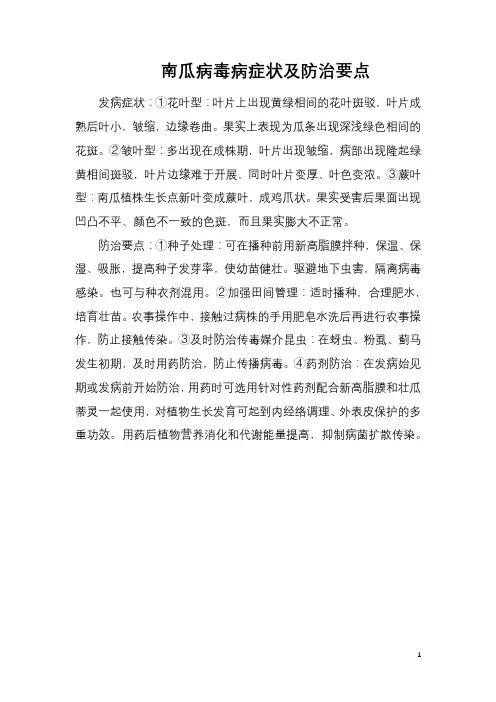 南瓜病毒病症状及防治要点