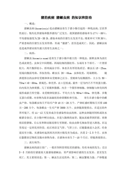 猪的疾病 猪蛔虫病 的知识和防治