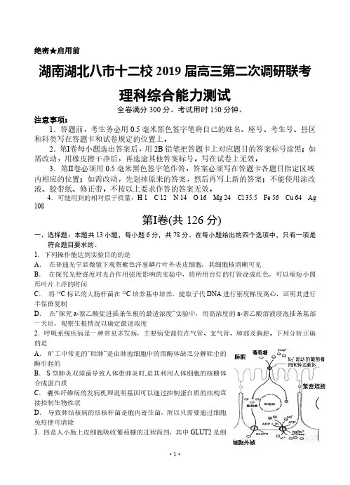湖南湖北八市十二校2019届高三第二次调研联考 理科综合(含答案)