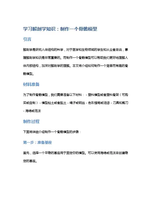 学习解剖学知识：制作一个骨骼模型