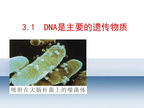 3.1DNA是主要的遗传物质