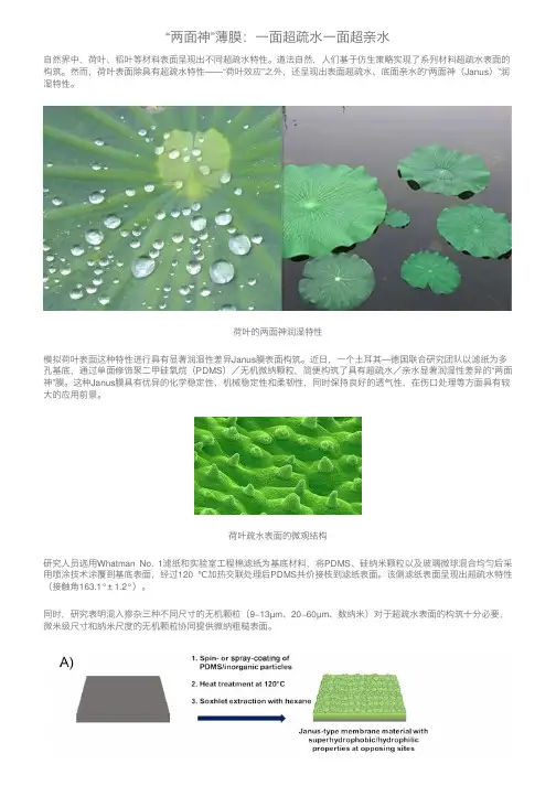 “两面神”薄膜：一面超疏水一面超亲水