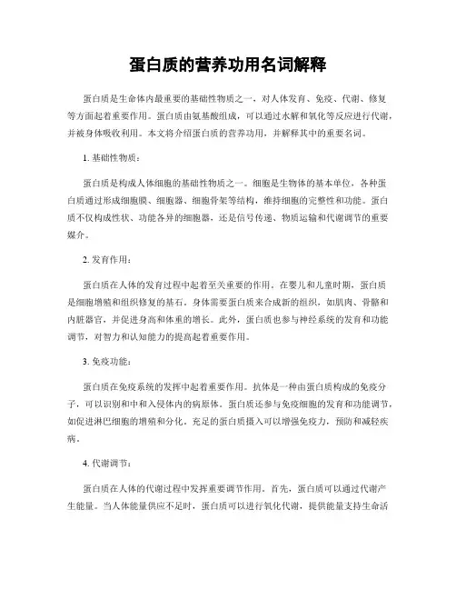 蛋白质的营养功用名词解释