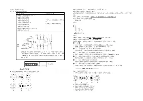 《新坐标》2022版高考生物第二轮复习 专题3 细胞的生命历程  讲义