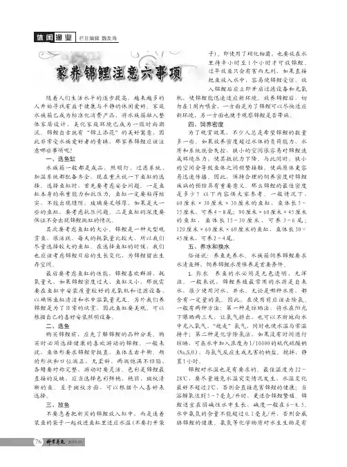 家养锦鲤注意六事项