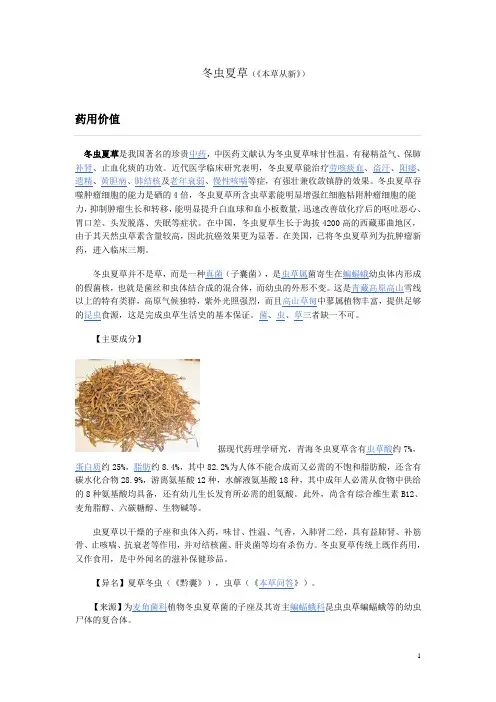 冬虫夏草93905