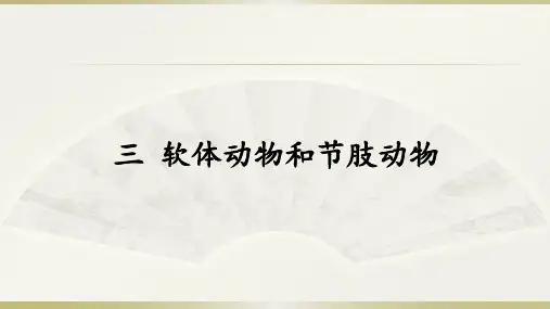 人教版八年级上册5.1.3《软体动物和节肢动物》课件(16张ppt )