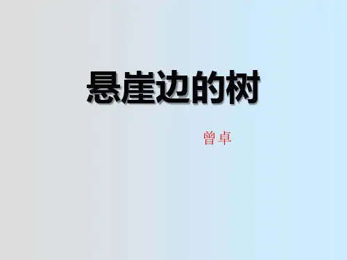 《悬崖边的树》PPT-完美版