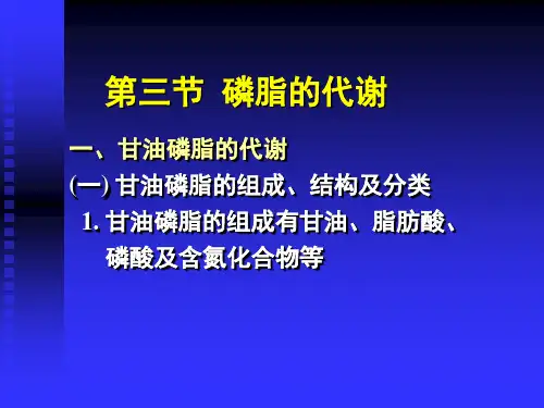 甘油磷脂的代谢