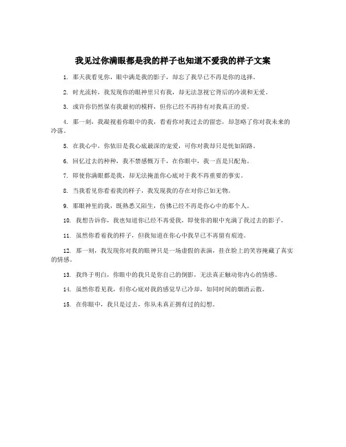 我见过你满眼都是我的样子也知道不爱我的样子文案