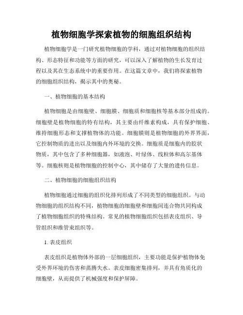植物细胞学探索植物的细胞组织结构