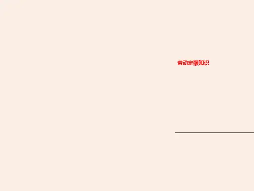劳动定额知识