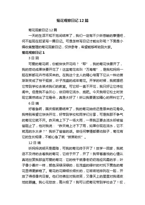 菊花观察日记12篇