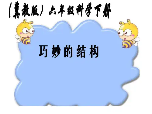 六年级科学下册课件-2巧妙的结构34-冀人版(30张PPT)