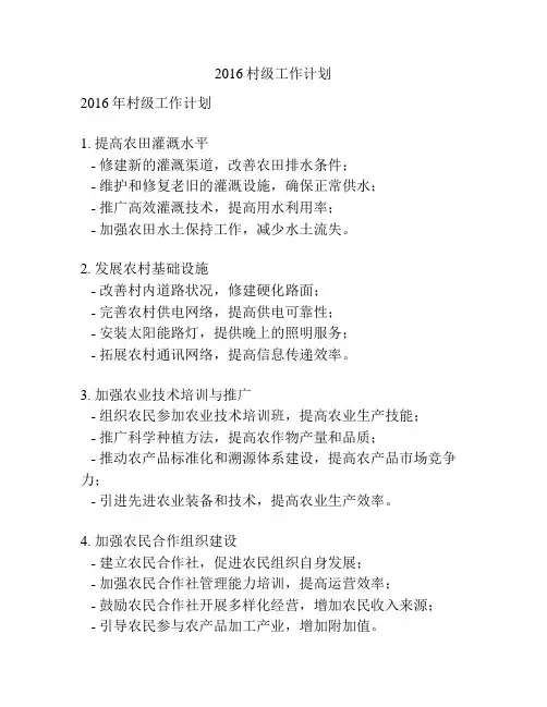 2016村级工作计划