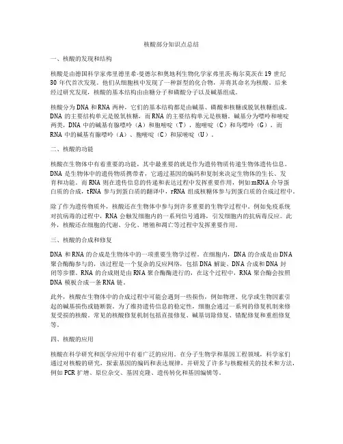 核酸部分知识点总结