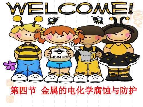 人教化学选修4第四章第四节 金属的电化学腐蚀与防护 课件 (共31张PPT)